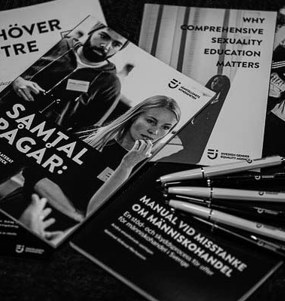 Samling av några av Jämställdhetsmyndighetens publikationer.